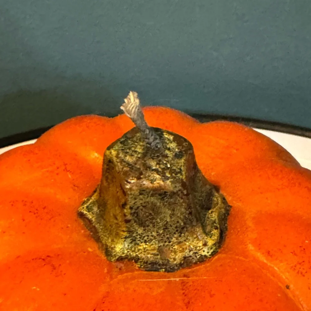Pottery Barn Decorative Orange Pumpkin Candle